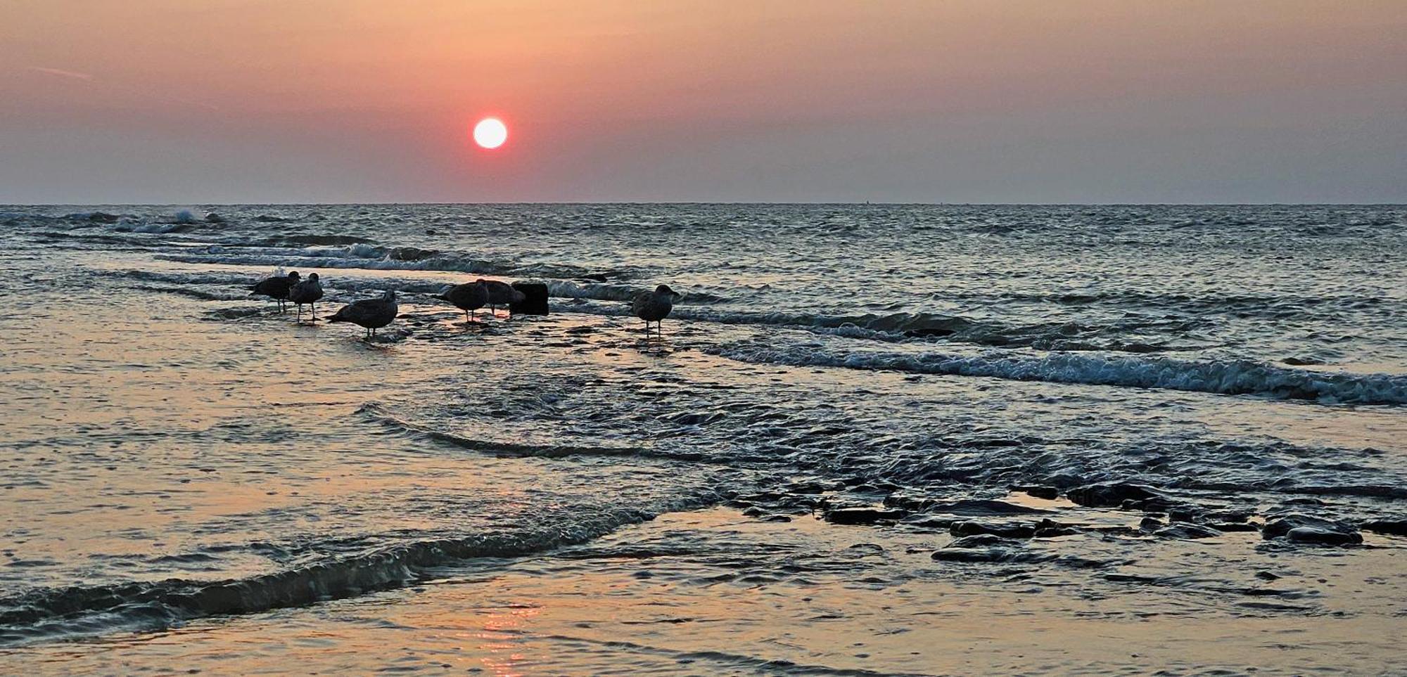Zanddijk 113, Julianadorp Aan Zee Dış mekan fotoğraf